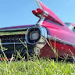 Meet your Posher, Douglas